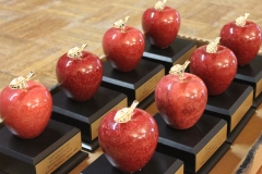 Apple2015 Awards