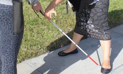 Skills Training for the Blind Arc width practice
