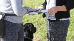Skills Training for the Blind Tactile Map Demo