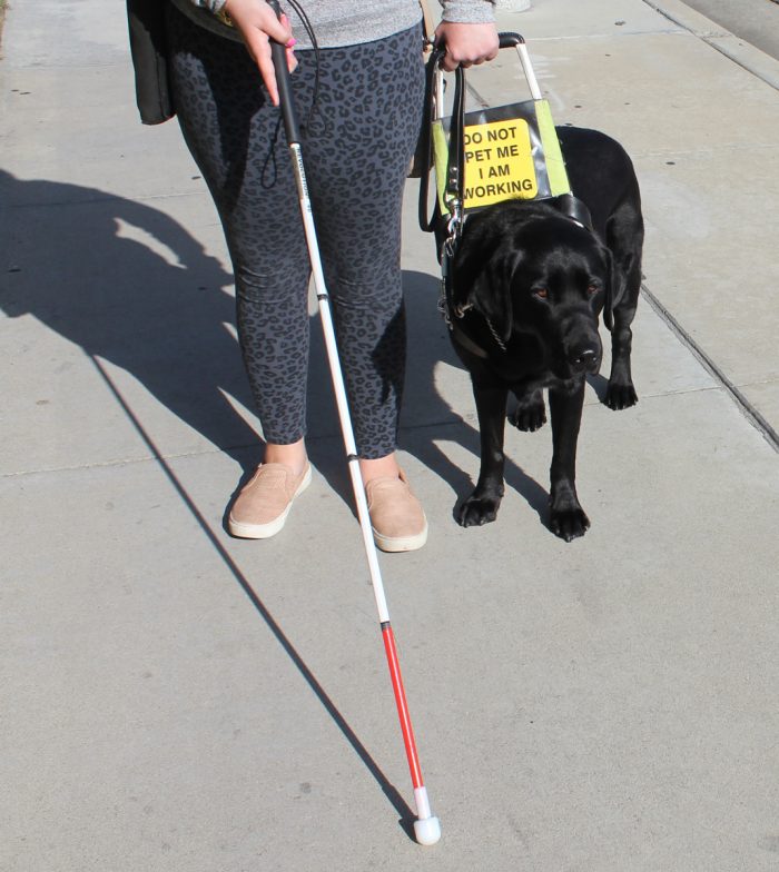 Blind person with cane and guide dog