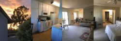 Pictured, a successful transition story for a DMC Consumer. On the left we see a sunset sky in bright orange through clouds with the silhouette of a tree outside the consumer residence; next we see the consumer’s kitchen area, followed by their living room and bedroom area photos