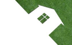 Green grass house with window silhouette.