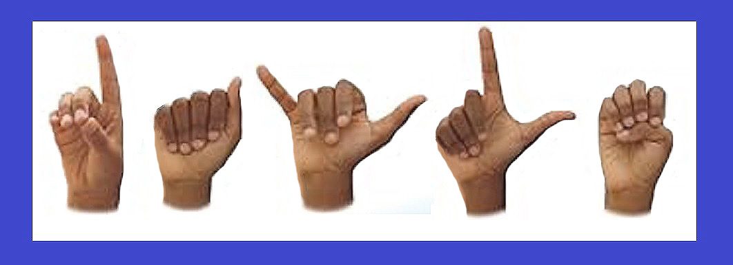 Pictured D-A-Y-L-E fingerspelled in ASL with BIPOC hands on a white background with a blue border