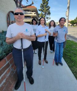Pictured Blind/Low-Vision Services Team standing outside on a sunny day on a sidewalk next to a brick planter with bushes on the side of the building. Team members Paul, Gaby and Danyelle are holding mobility canes; team members Christabel and Gaby are standing behind – the entire team is smiling.