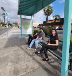 Pictured Ivan, Babar and Sol sitting at bus stop – the aqua colored bus stop has an awning above with the sidewalk view. Blue sky, white clouds and palm trees are in the background on a sunny day.