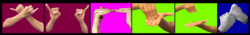 BIPOC hands doing ASL: Left-to-Right Vietnamese hands signing “Independent on a burgundy background;” Hispanic hands signing “Peer” on a hot pink background; Afro-Latinx hands signing “Learn” on a lime green background and Caucasian hands shot in black and white signing “Support” on a royal blue background. Image is surrounded with black border with dividers in-between signs.