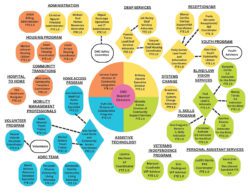 DMC Organization Chart