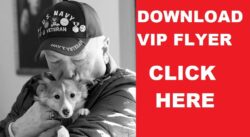 Pictured older adult Veteran with U.S. Navy Veteran cap with pins on it holding a support dog in arms kissing it on the head. To the right reads “Download VIP Flyer CLICK HERE in white text on a red click button background.
