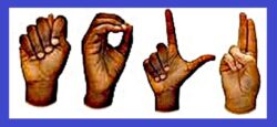 T-O-L-U fingers-pelled in ASL Image has blue border