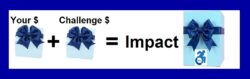 Your $ donation gift (small blue box with blue bow) + Challenge $ donation gift (small blue box with blue bow) = Impact (large blue gift box with DMC blue logo on it with blue bow. Image had dark blue border.