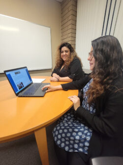 Image of two DMC employees working using a laptop.